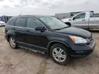 2010 Honda CR-V EXL