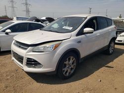 2013 Ford Escape SEL en venta en Elgin, IL