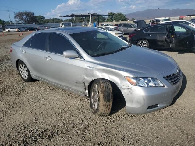 2008 Toyota Camry Hybrid