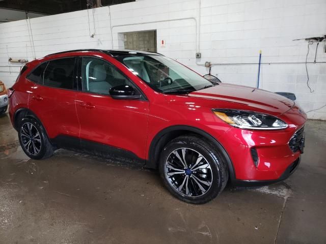 2021 Ford Escape SE