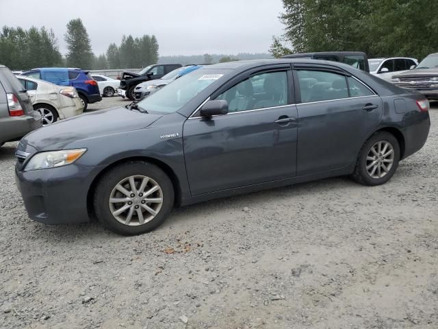 2010 Toyota Camry Hybrid