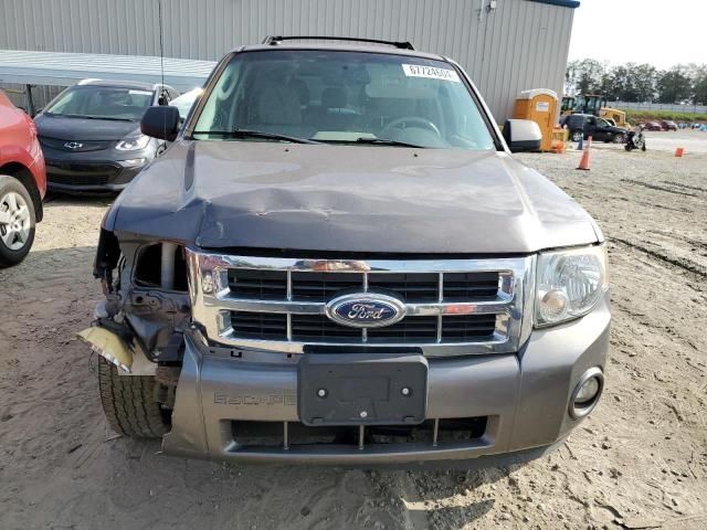 2011 Ford Escape XLT