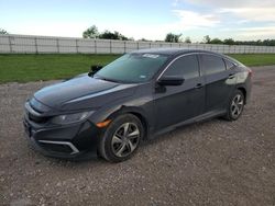 Honda salvage cars for sale: 2020 Honda Civic LX