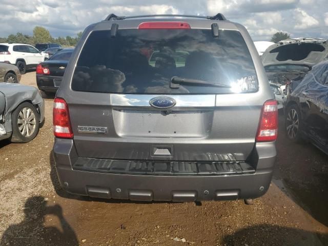 2010 Ford Escape Limited