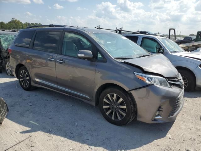 2019 Toyota Sienna XLE