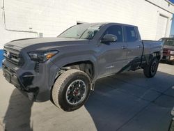 Salvage cars for sale from Copart Farr West, UT: 2024 Toyota Tacoma Double Cab