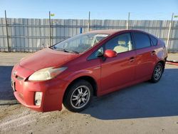 Toyota salvage cars for sale: 2010 Toyota Prius