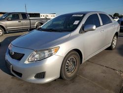 Toyota salvage cars for sale: 2010 Toyota Corolla Base