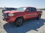 2019 Toyota Tacoma Double Cab