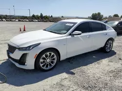 2023 Cadillac CT5 Premium Luxury en venta en Mentone, CA