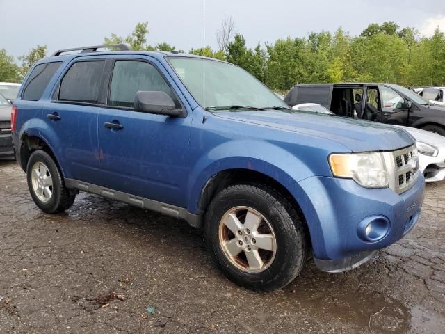 2009 Ford Escape XLT