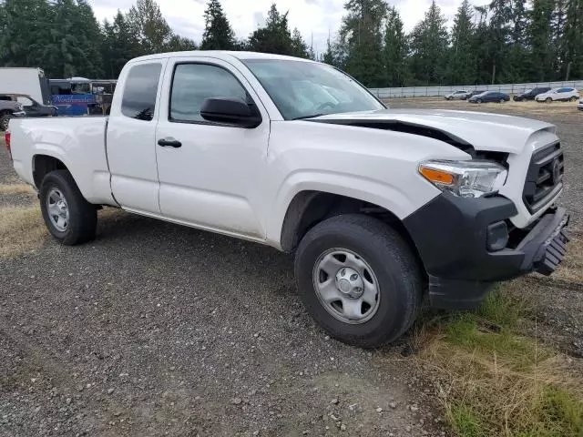 2022 Toyota Tacoma Access Cab