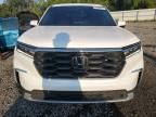 2024 Honda Pilot EXL