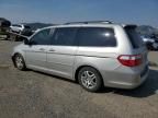 2005 Honda Odyssey EXL