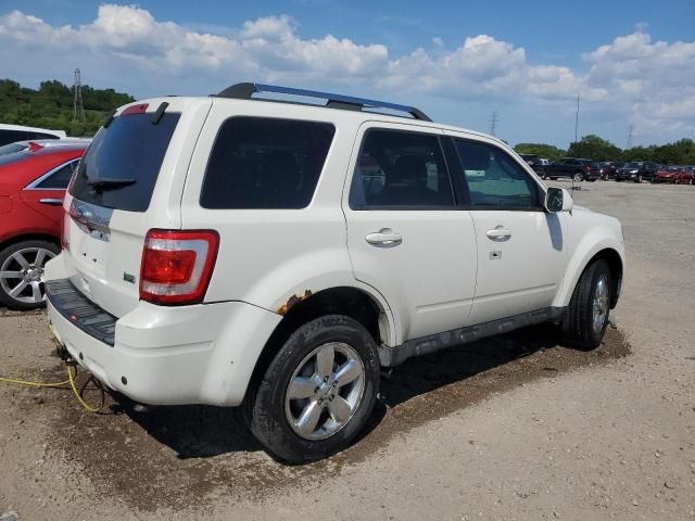 2010 Ford Escape Limited