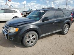 Ford Vehiculos salvage en venta: 2009 Ford Escape Limited