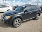 2009 Ford Escape Limited