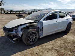 Salvage cars for sale at San Martin, CA auction: 2023 Tesla Model 3