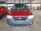 2005 Ford Escape XLT