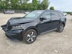 Salvage cars for sale at Cicero, IN auction: 2023 KIA Sorento S