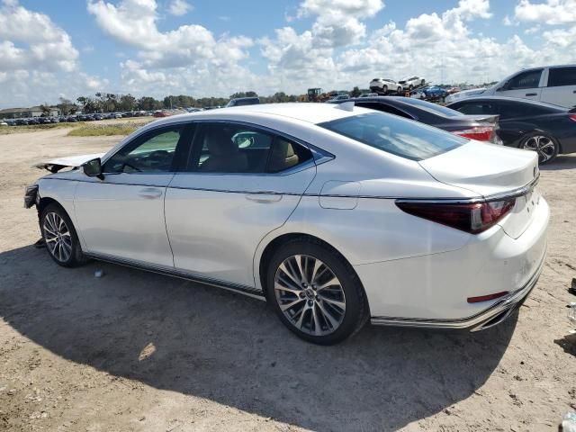 2019 Lexus ES 350