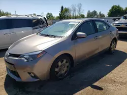 Carros con verificación Run & Drive a la venta en subasta: 2016 Toyota Corolla L