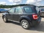 2012 Ford Escape XLS