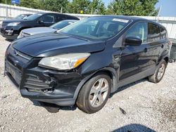 Salvage cars for sale from Copart Walton, KY: 2014 Ford Escape SE