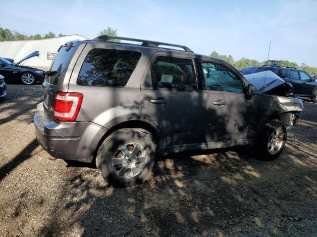 2011 Ford Escape Limited