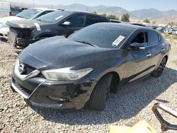 Nissan salvage cars for sale: 2017 Nissan Maxima 3.5S