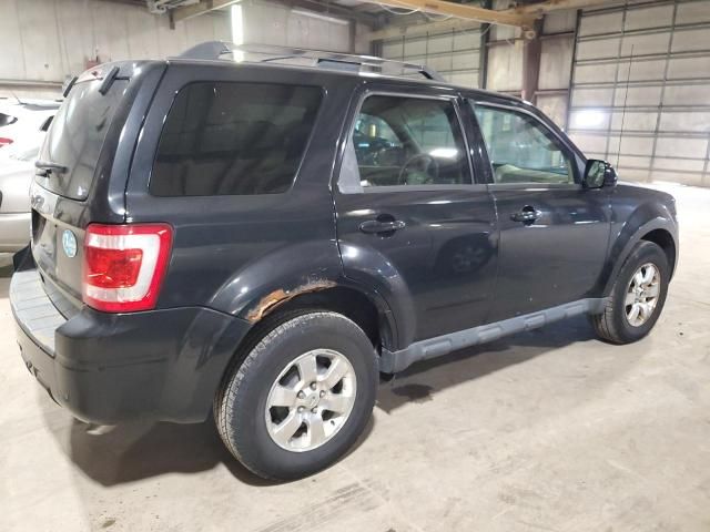 2011 Ford Escape Limited