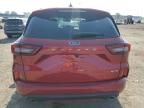 2024 Ford Escape ST Line Select