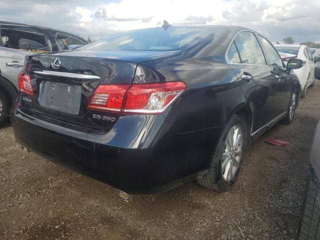 2010 Lexus ES 350