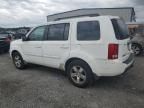 2009 Honda Pilot EXL