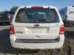 2012 Ford Escape XLS