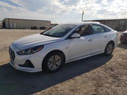 Salvage cars for sale at Temple, TX auction: 2019 Hyundai Sonata Hybrid