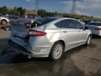 2016 Ford Fusion SE Phev