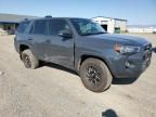 2024 Toyota 4runner SR5/SR5 Premium