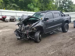 Salvage SUVs for sale at auction: 2021 Toyota Tacoma Double Cab