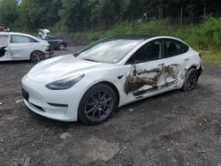 Salvage cars for sale at Marlboro, NY auction: 2023 Tesla Model 3