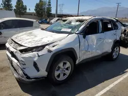 Salvage cars for sale at Rancho Cucamonga, CA auction: 2020 Toyota Rav4 XLE