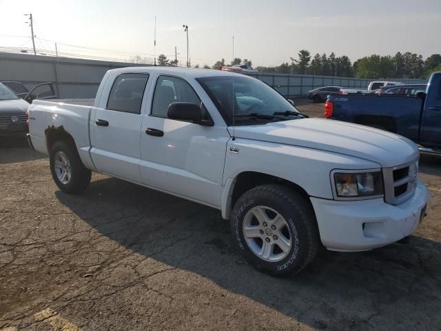 2011 Dodge Dakota SLT