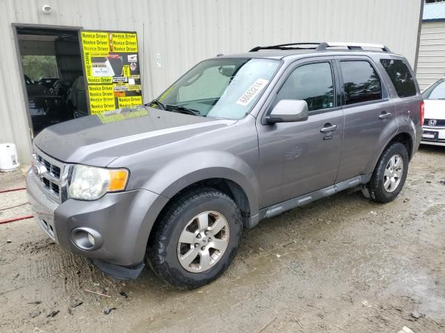 2010 Ford Escape Limited