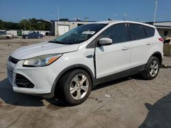 Salvage cars for sale at Lebanon, TN auction: 2016 Ford Escape SE