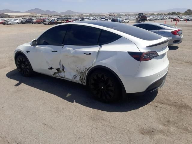 2021 Tesla Model Y