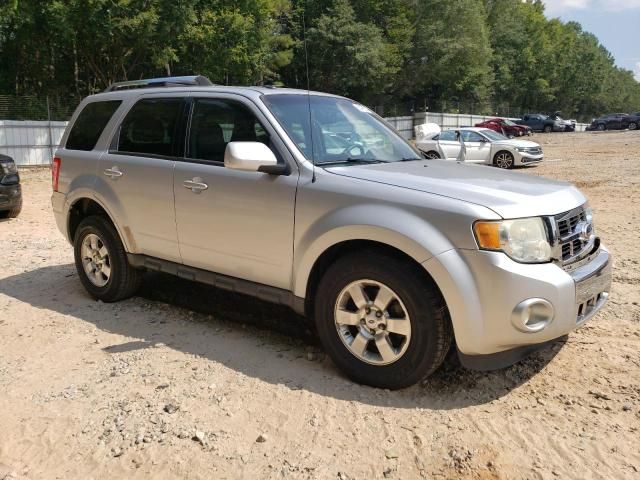 2011 Ford Escape Limited