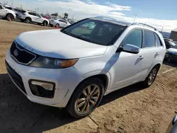 Carros salvage sin ofertas aún a la venta en subasta: 2011 KIA Sorento SX