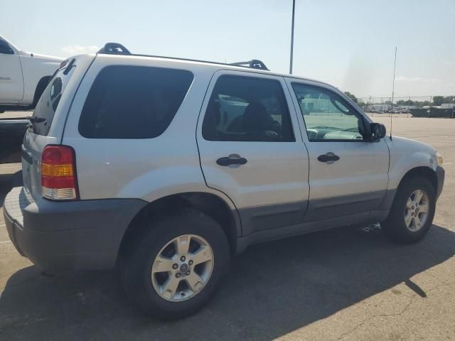 2007 Ford Escape XLT