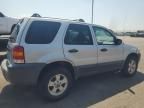 2007 Ford Escape XLT