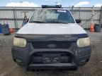 2002 Ford Escape XLT